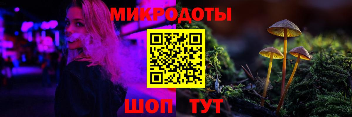 Галлюциногенные грибы Psilocybe  Галлюциногенные грибы Psilocybe  Вход с VPN  Советская Гавань 